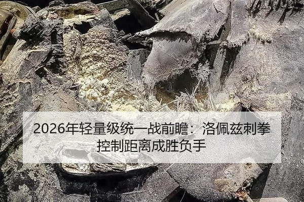 2026年轻量级统一战前瞻：洛佩兹刺拳控制距离成胜负手
